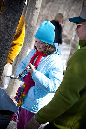 Maple Sugar Time