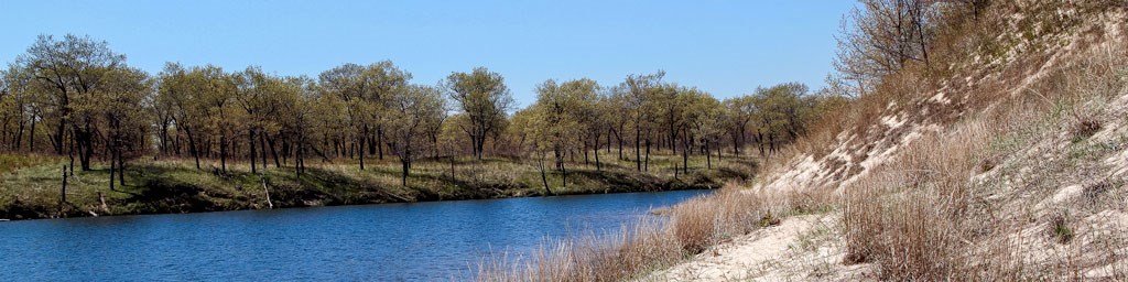 Miller Woods Trail