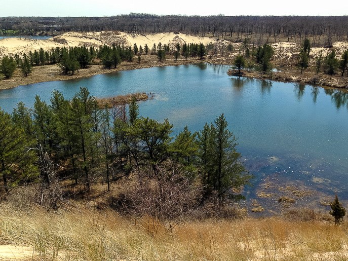 Miller Woods Trail