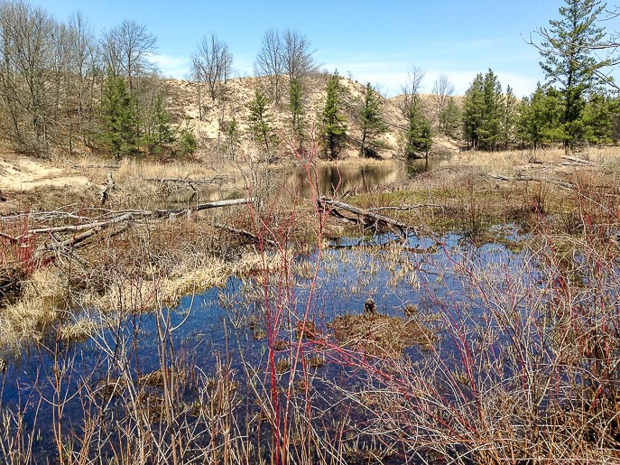 Miller Woods Trail