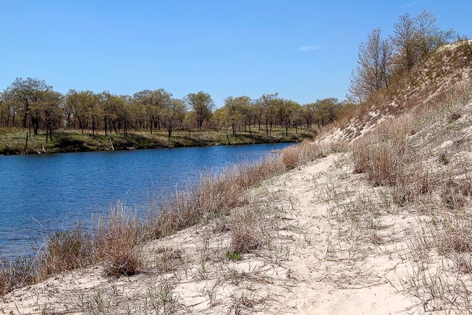 Miller Woods Trail