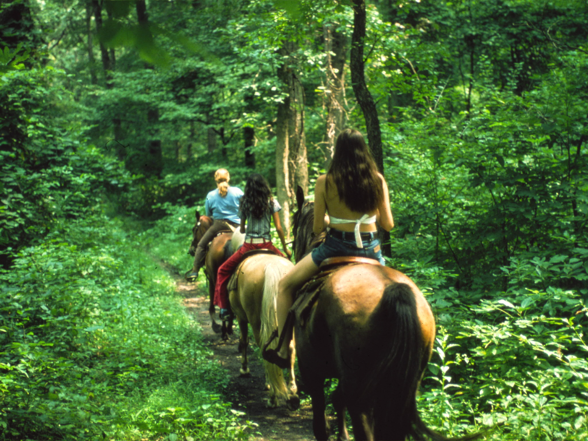 Horseback Riding Indiana Dunes National Park (U.S. National Park Service)