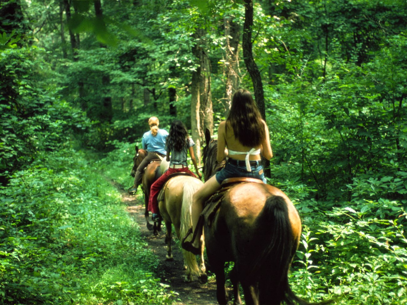 Horse Back Riding