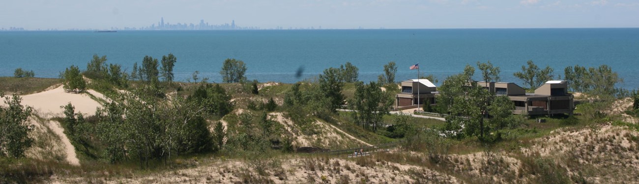 are dogs allowed at indiana dunes