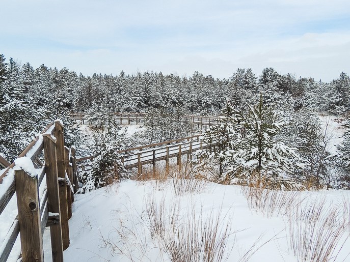 West Beach Trail