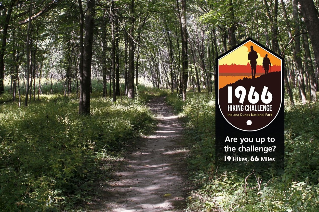 Sandy trail through a verdant woodland with sunshine filtering through leaves. A logo for the 1966 Hiking Challenge is in the bottom right corner.