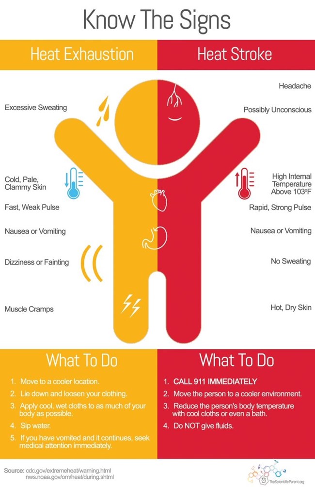 Infographic showing a stick person split down the middle; with one side listing and showing symptoms of heat stroke, and the other listing the same for heat exhaustion.