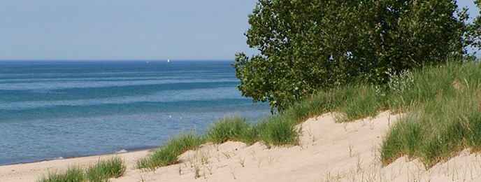 are dogs allowed at indiana dunes