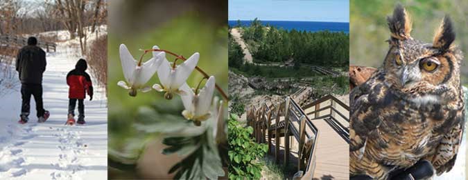 Composite of photos showing the four seasons.
