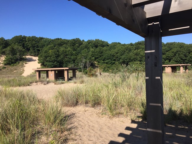 Wooden picnic shelter in view with a sandy dune and forest behind; as seen from underneath the overhang of another wooden picnic shelter.