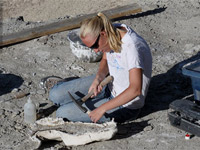 fossils