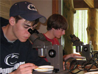 two youth looking into microscopes