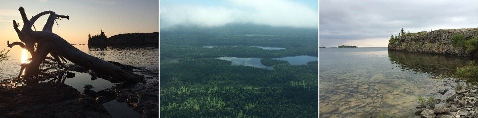 Three separate images; on left is a lakeshore scene at sunset with a large tree down, middle is an overhead view of trees with small lakes, on right is a rocky peninsula jutting out into calm, clear water