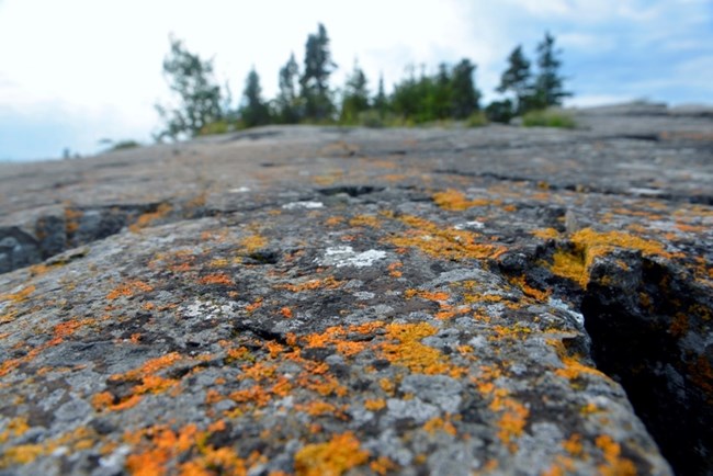 a rocky ediface covered with lichen, trees blurred in the distance
