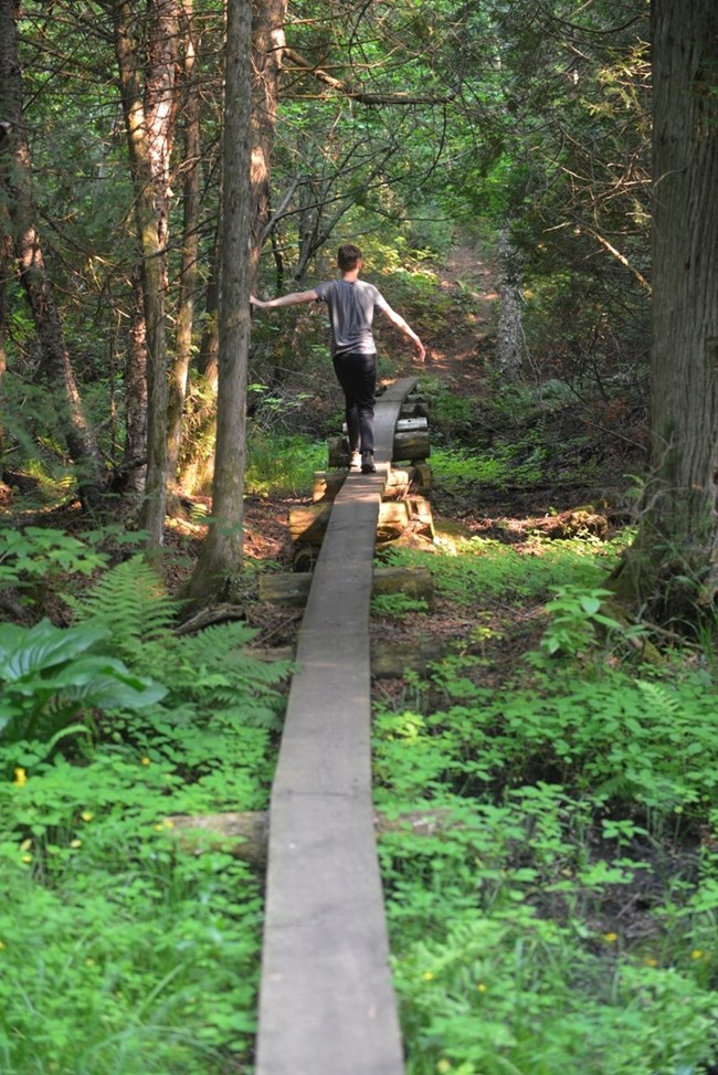 child walks across a boardwalk, arm outstretched to lean on a tree