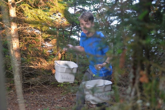 child carrying two buckets through the forest, each white bucket clearly labelled "water"