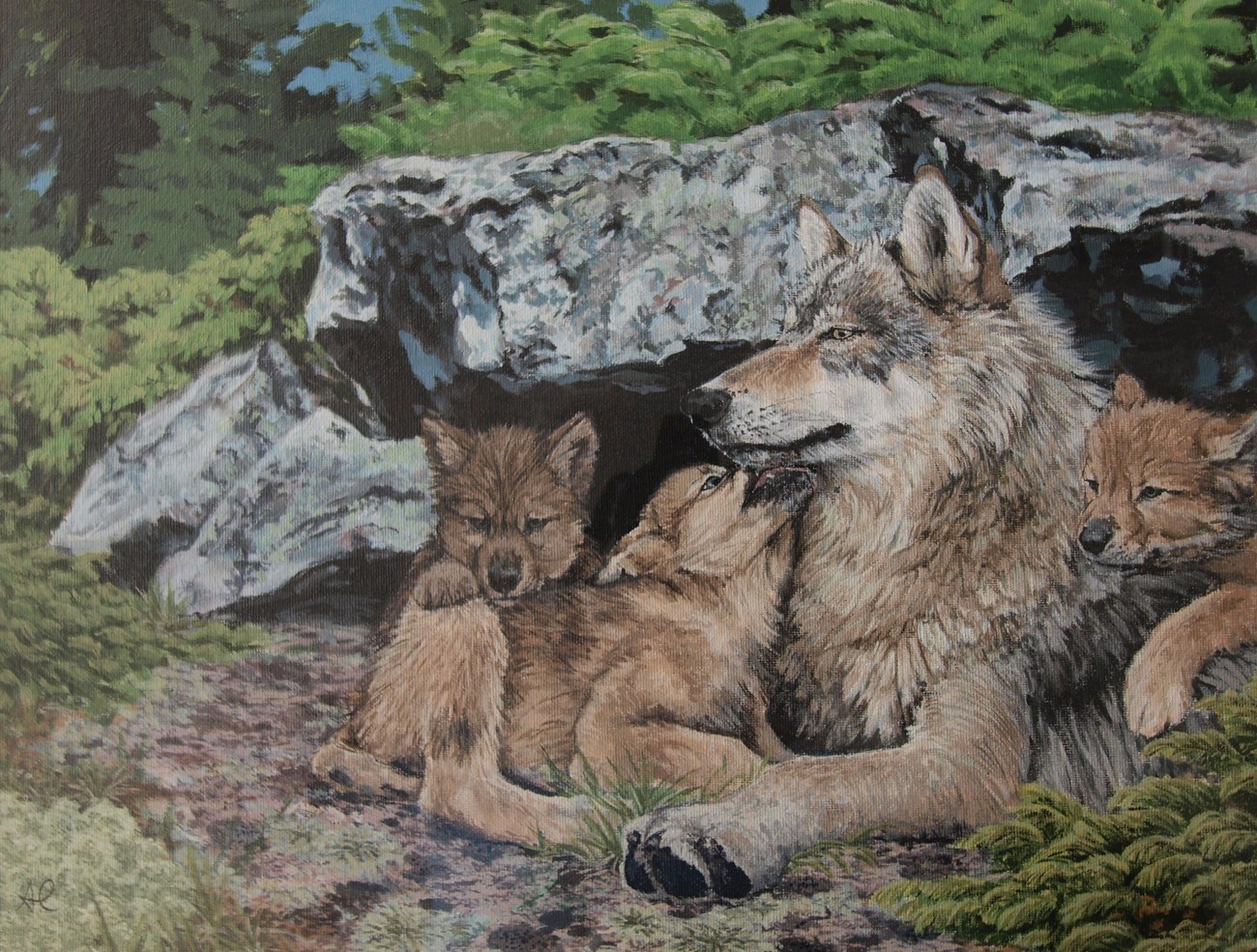 wolf pups with female wolf covered by a rock outcropping