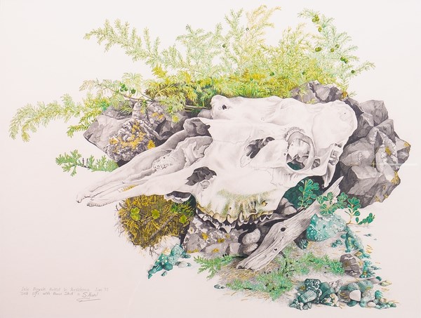 A painting shows a moose skull surrounded by rock and vegetation