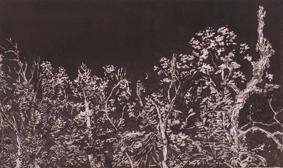 Artwork shows light colored trees on a black background