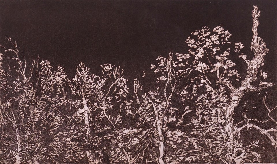 Artwork shows light colored trees on a black background
