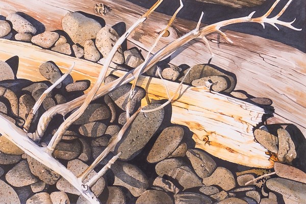 Artwork shows rocks and driftwood