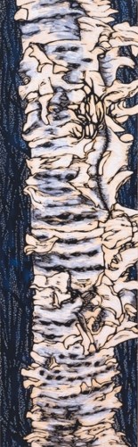Artwork shows a white birch tree with holes and peeling bark