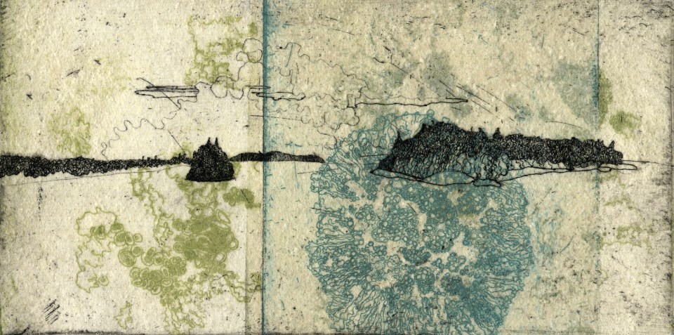 Artwork shows black islands on a cream background, with blue and green lichen patterns overlaid
