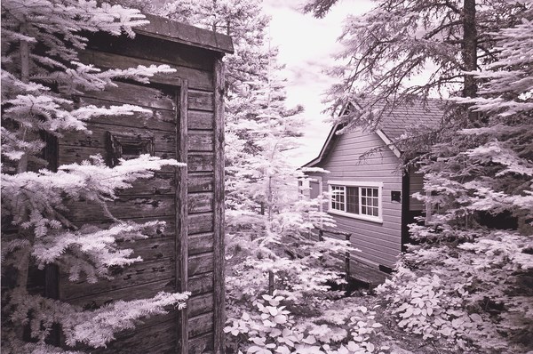 A photograph shows a cabin in the forest