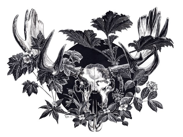 Artwork shows a moose skull with vegetation growing around and through it