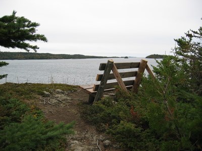A rustic bench looking out towards a lake