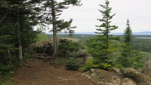 Photo shows a scenic overlook surrounded by trees