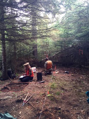 Isle Royale staff kneel on the ground excavating an archeological site.
