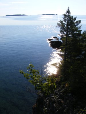 A photograph taken on the shoreline of a shining blue lake, the top of a large coniferous tree frames the right hand side of the photo