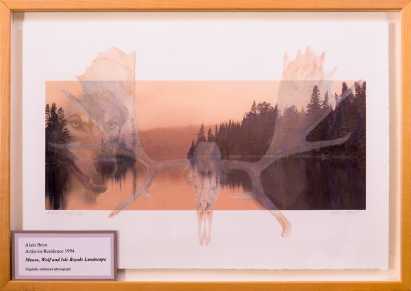 Artwork with a transparent wolf and moose antlers overlaid on a landscape scene