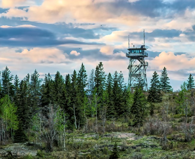 A metal structure stands higher than the tree line with the sun setting in the background.