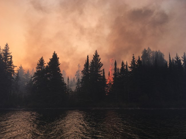 A tree in a forest is engulfed in flames. The sky is orange and filled with smoke.