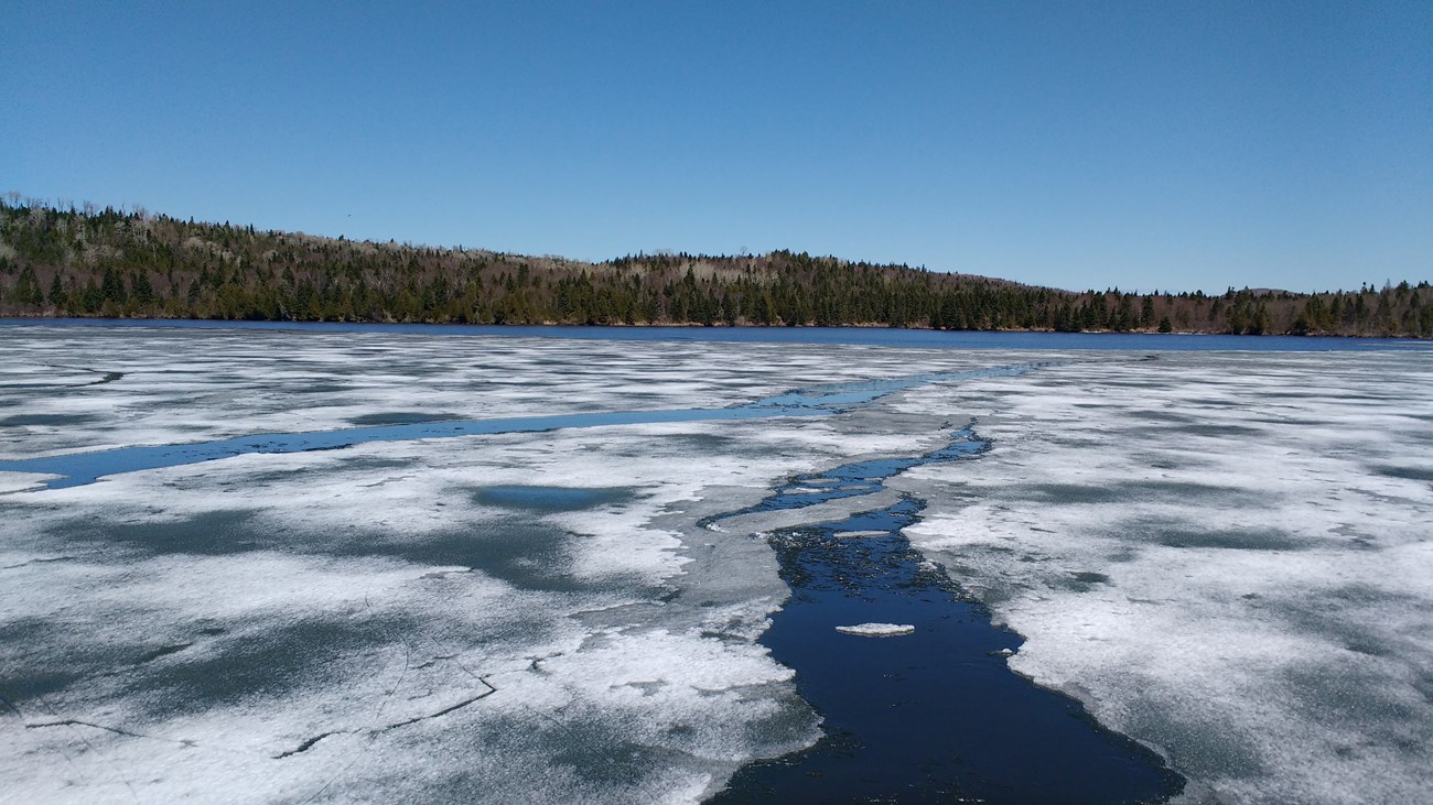 A view of icy waters with a tree line in the background.