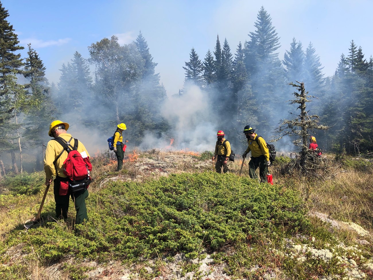 A team of five wildland firefighters wearing hard hats, yellow shirts, and green pants, work to manage a small ground fire smoldering in the brush.