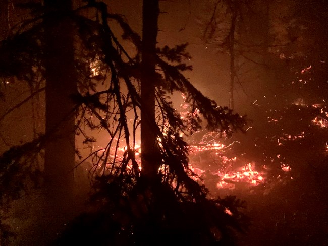 A ground fire glowing orange at night.