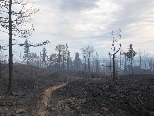 lt= View of a barren landscape and trees scorched by fire, with a tall, large rock in the background.