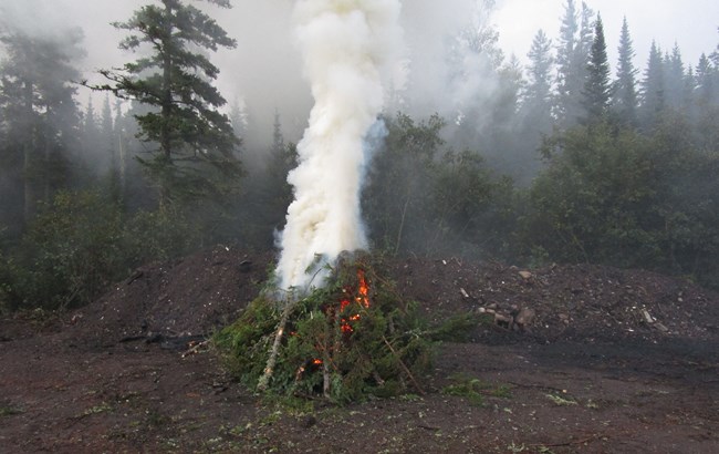 A large pile for organic material burns in a large clearing. Thick white smoke rises.