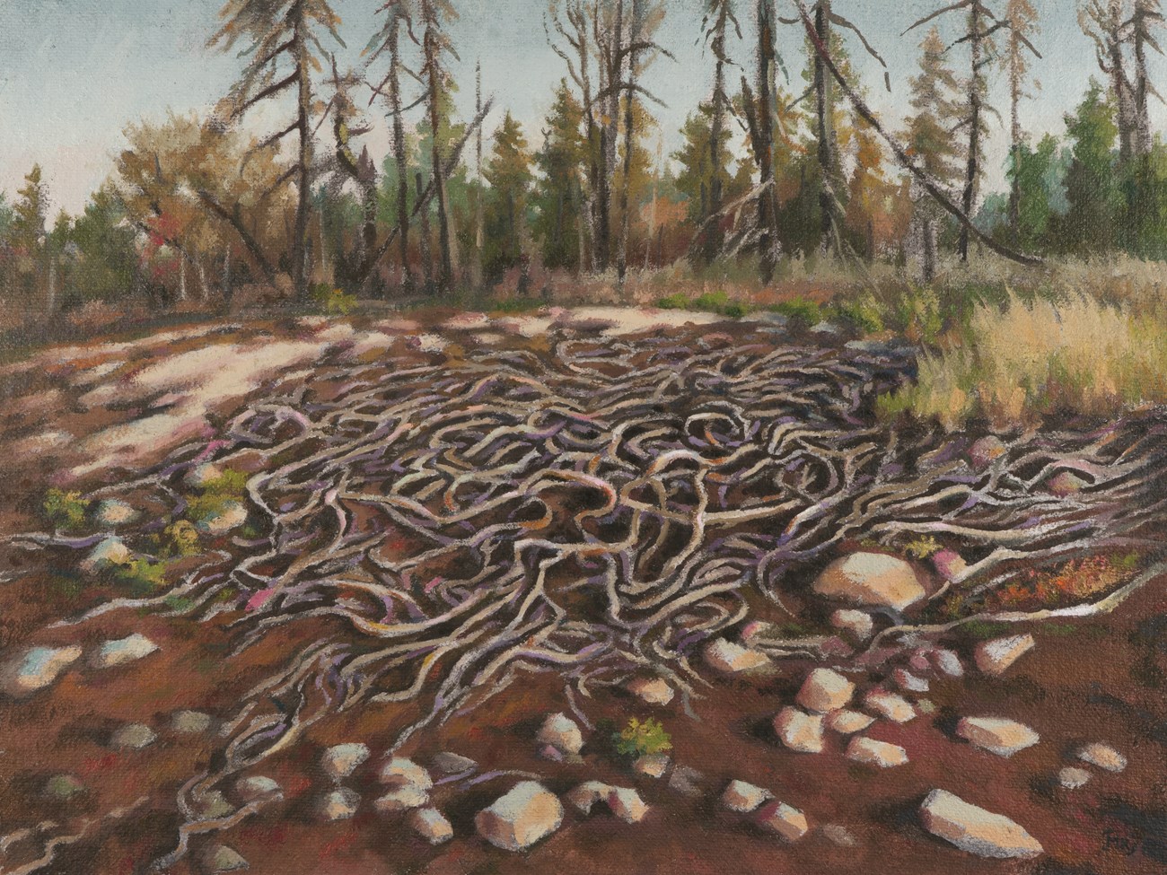 An oil painting of the bare vines of a large Canada yew whose needles have been burnt off in a wildfire.