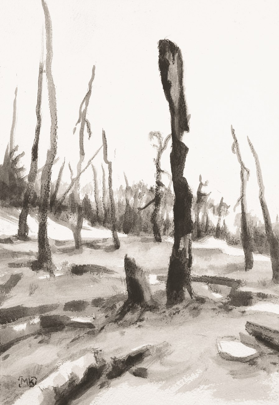A graphite drawing of a charred tree snag in a burnt landscape.