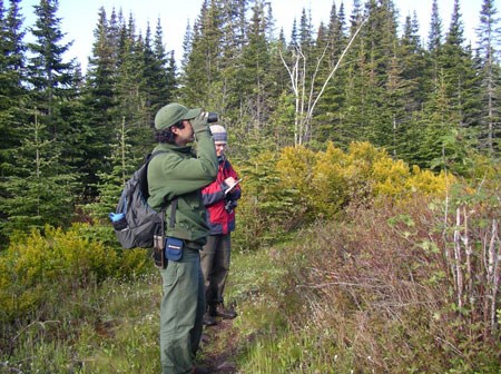 Biologists survey with binoculars for songbirds