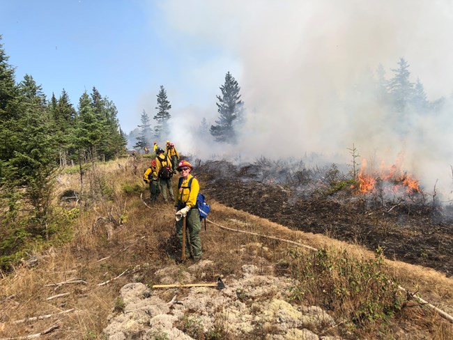 A group of firefighters gather around a fire hose next to a small brush fire.