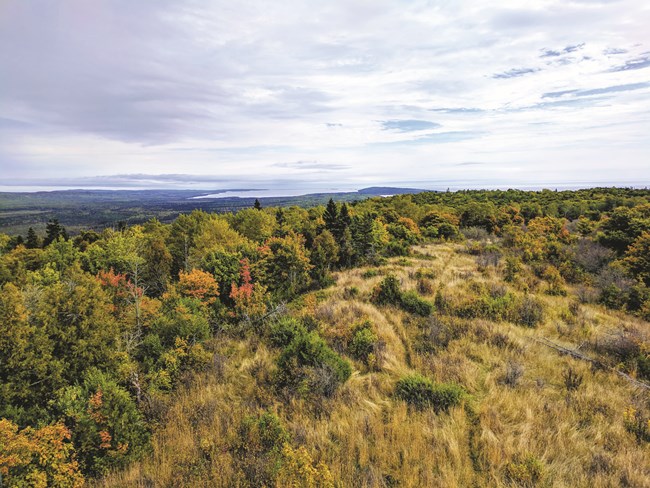 A panoramic view of a forested landscape with a large lake in the background.