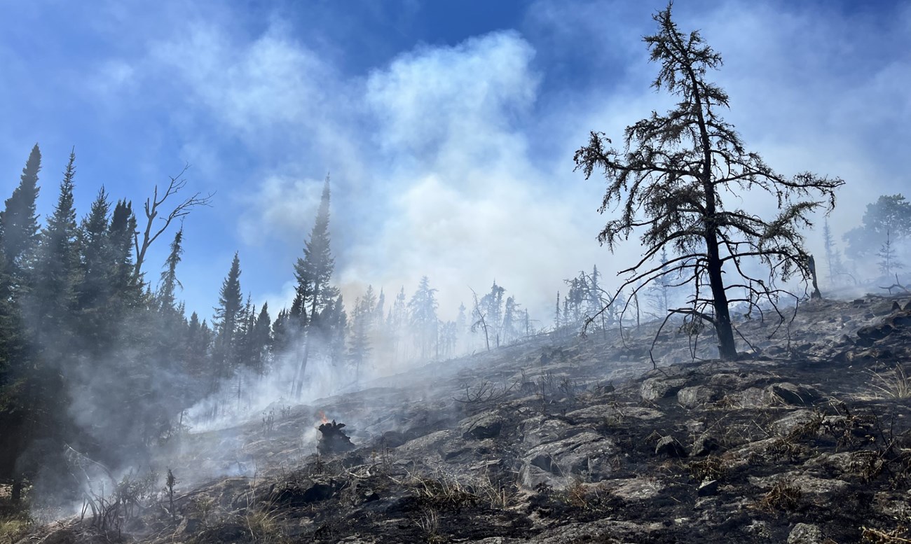 Smoke rises from a burnt hillside.