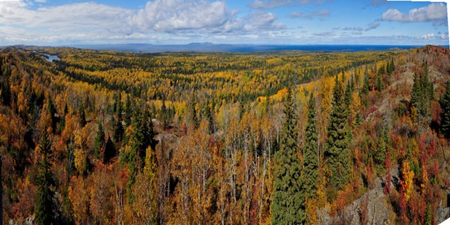 Ojibway Tower Panorama Looking North