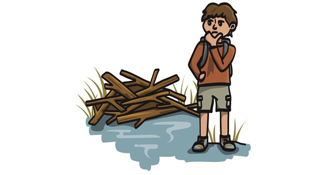 A cartoon of a person standing next to a beaver dam.