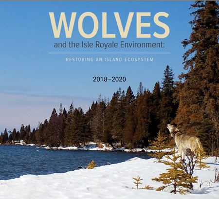 Wolf howling along the snow-covered shoreline of Lake Superior
